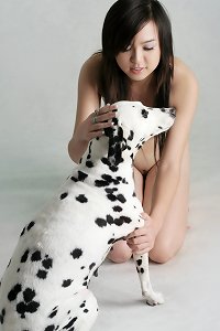 food web southeast chinese rainforest